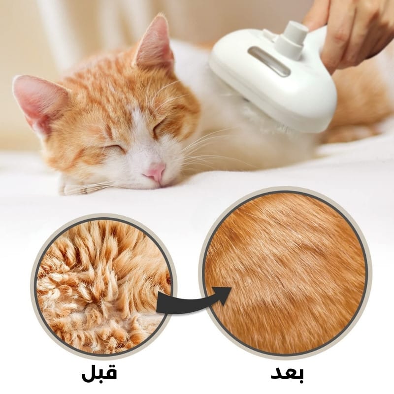 Brosse nettoyante et épilatrice à vapeur pour animaux de compagnie